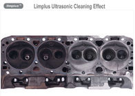 Nettoyage ultrasonique des véhicules à moteur d'injecteur de gazole de décapant de Limplus 40kHz avec le panier